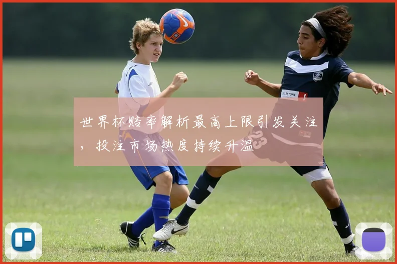 世界杯赔率解析最高上限引发关注，投注市场热度持续升温